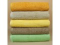 100% Pakistan Cotton Thick Luxury Big Bath Sheet 36x71 Inch 750G